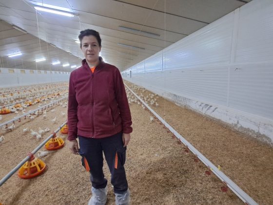 Ana Pérez, ganadero avícola de Quel.