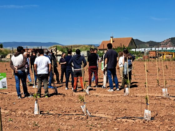 Visita al campo demostrativo de SAR