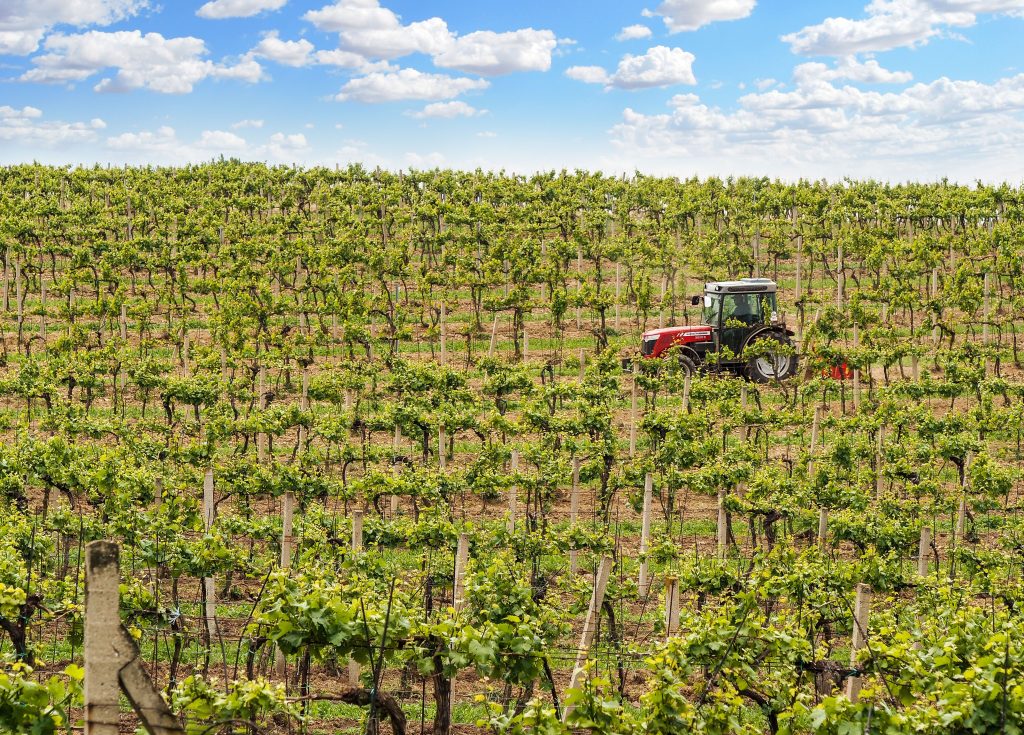 tractor vendimia